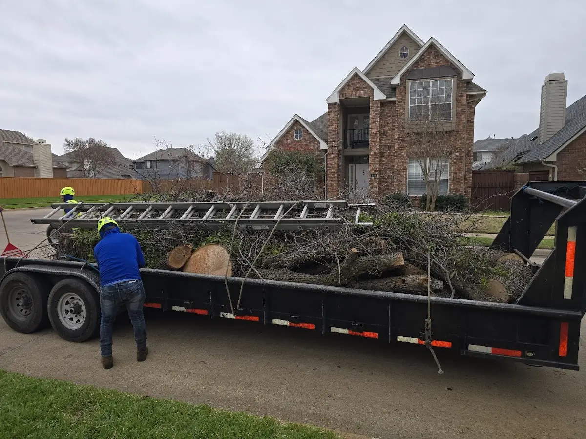 Expert Tree Fertilization with proper safety equipment in Monetta
